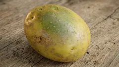 Dá sa jesť zemiak so zelenými škvrnami? Ujasnime si to raz a navždy