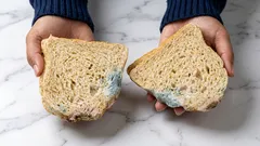 Dá sa potravina zjesť, ak z nej len odrežete pleseň?